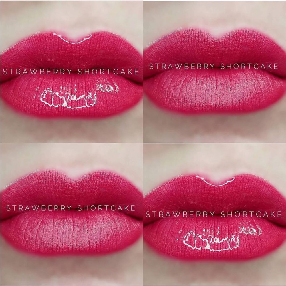 Brand new 0.25oz strawberry shortcake lipsense